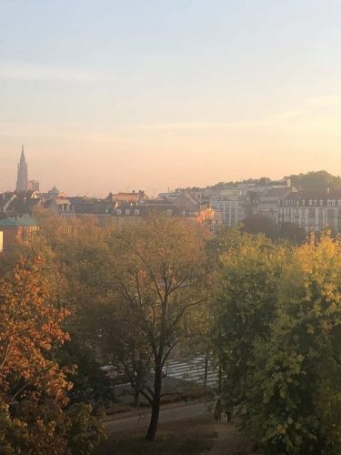 ERIAC Attends the 16th CAHROM Meeting, Strasbourg