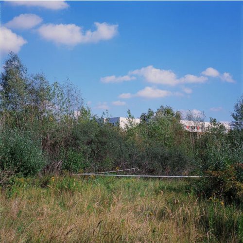 NO INNOCENT LANDSCAPE – VALÉRIE LERAY
