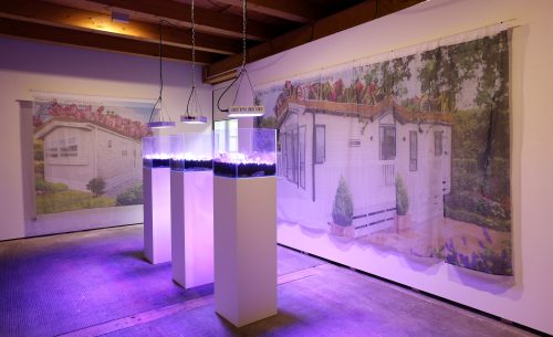 A Museum of Connections