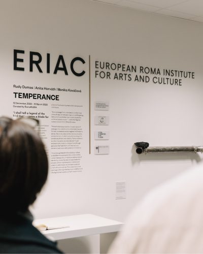Nine Years of ERIAC: Driving Impact for Roma Communities and Institutional Change
